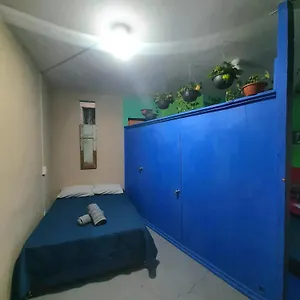 Huerto En El Barrio , Guadalajara México