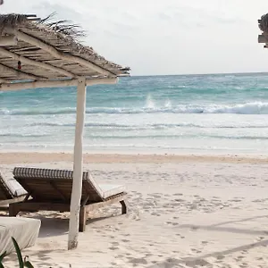 Tuup 3*, Tulum México